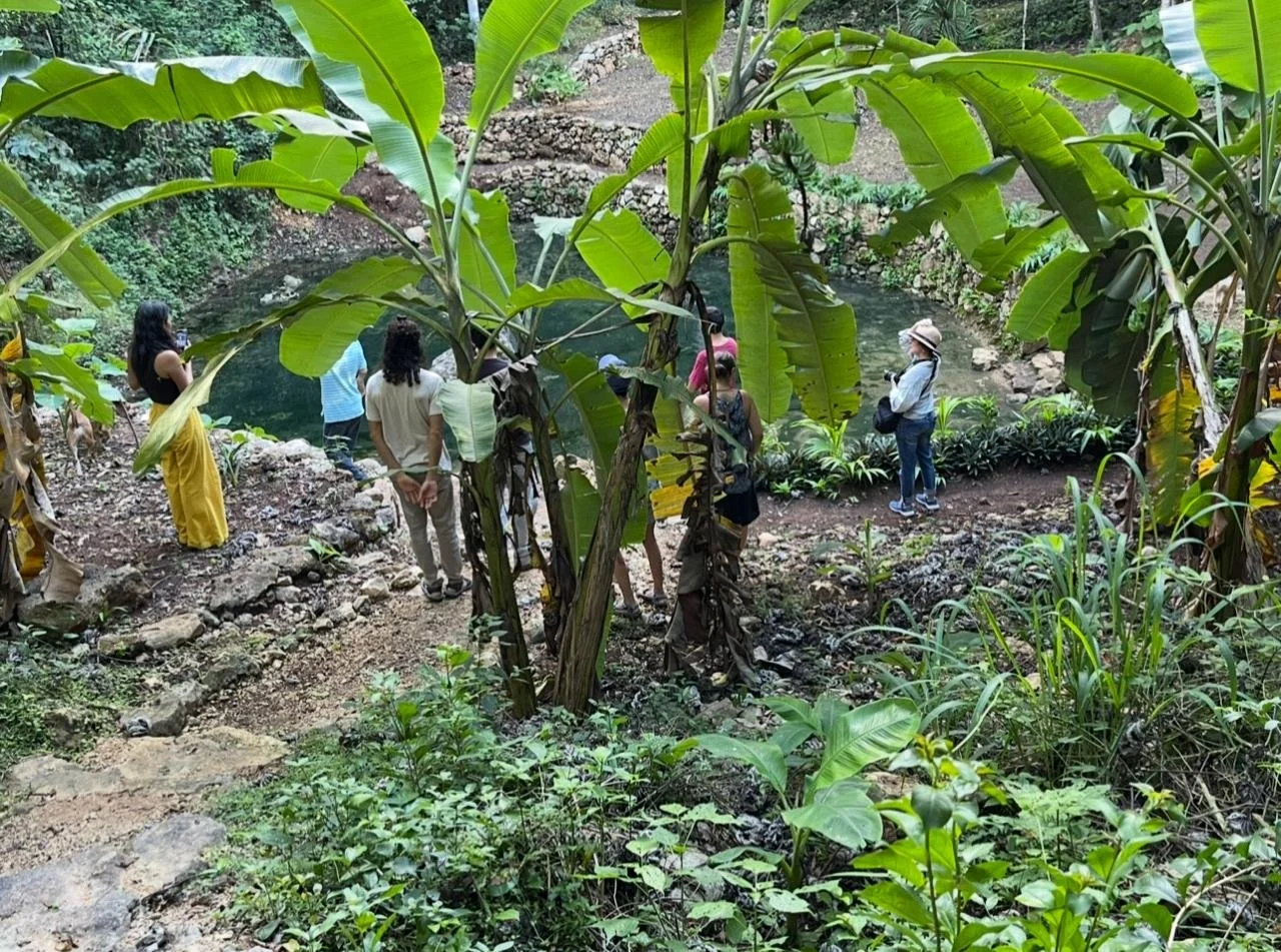 Group of people exploring lush greenery and a small pond in a jungle setting, surrounded by large banana leaves and various plants.