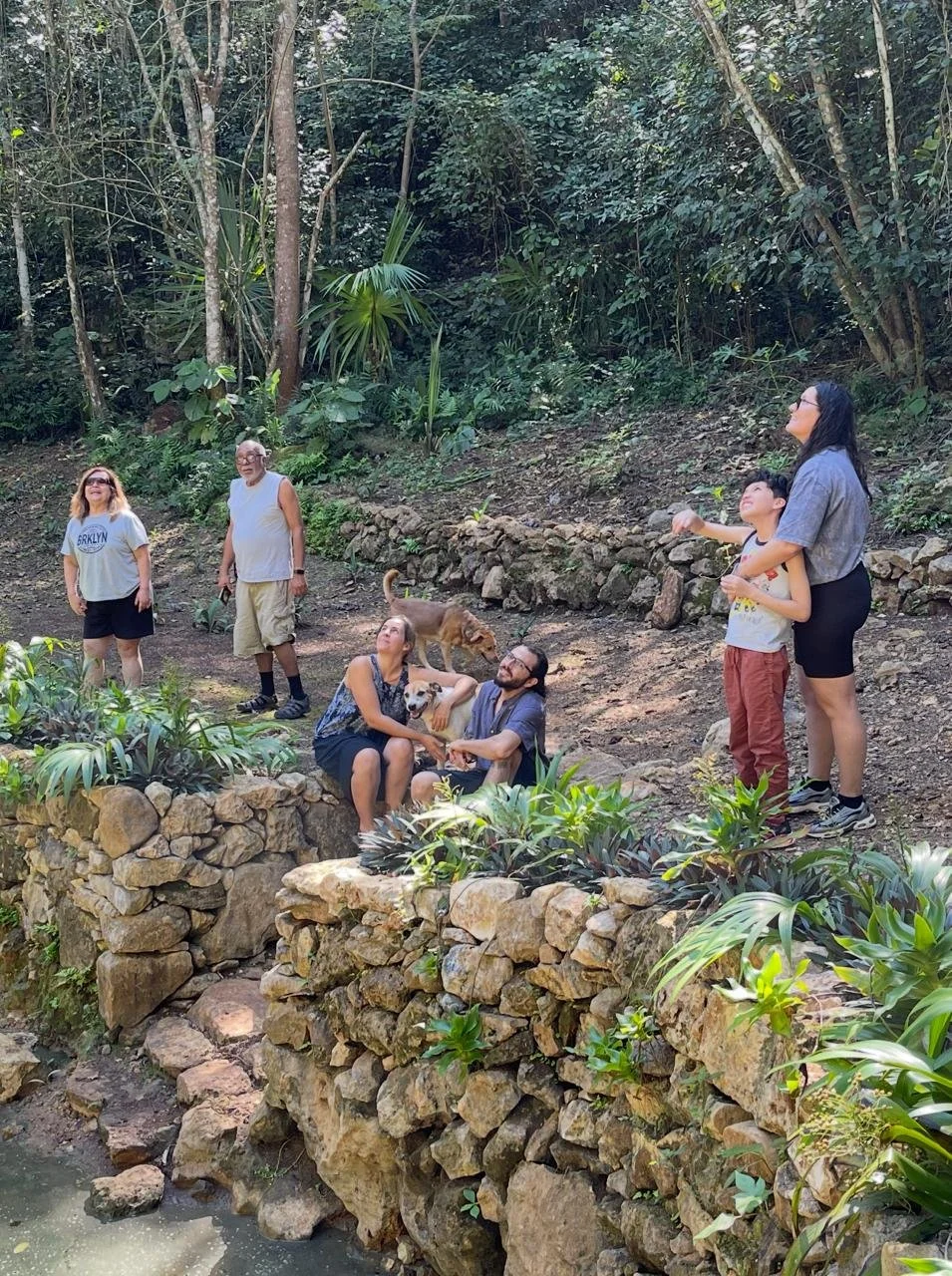 A group of seven people and two dogs enjoying a day in a lush, wooded outdoor area with rocks and plants.