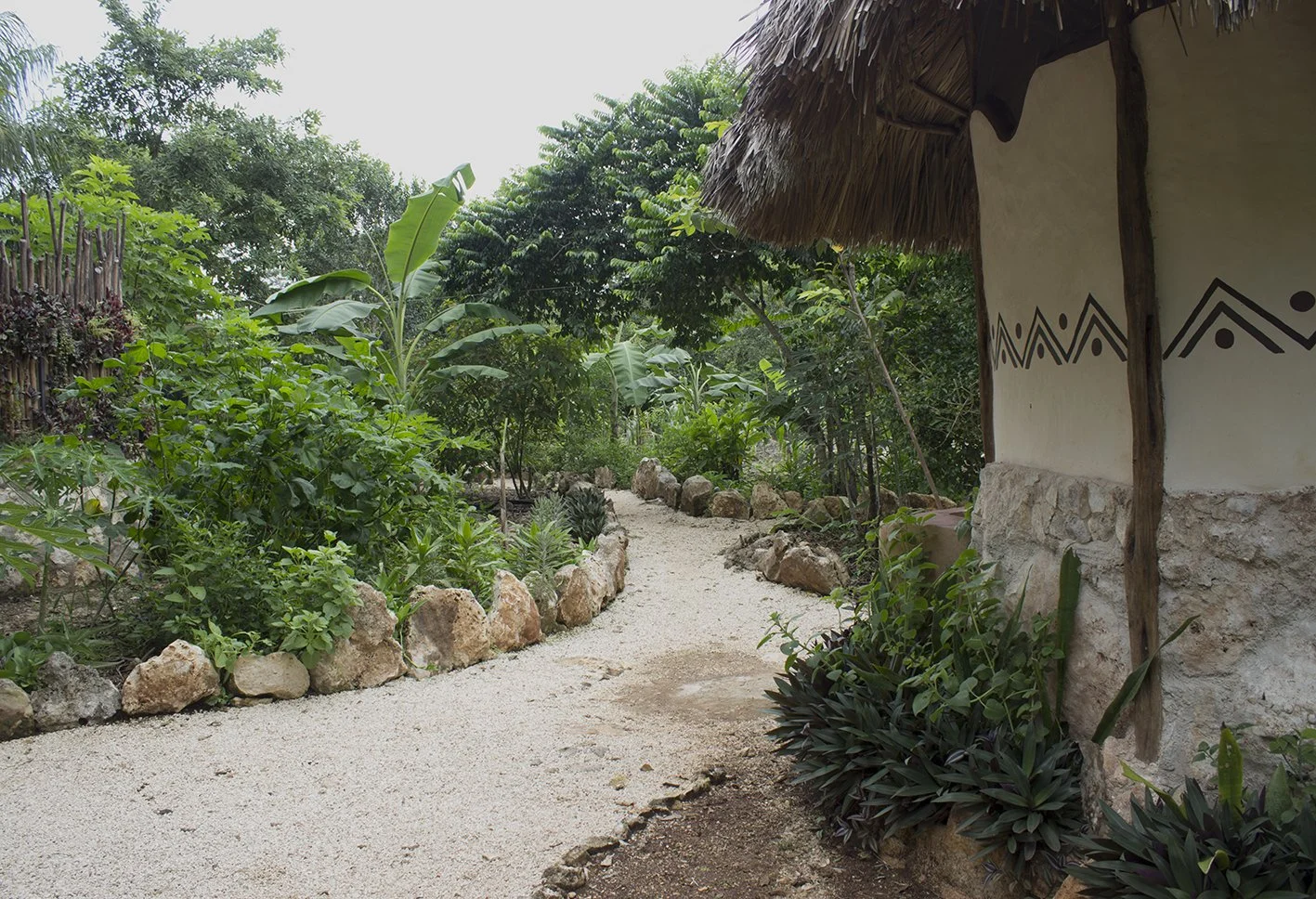 A dirt garden pathway with rocks lining the edges, lush green plants, banana trees, and a thatched-roof hut with decorative black patterns on the wall.
