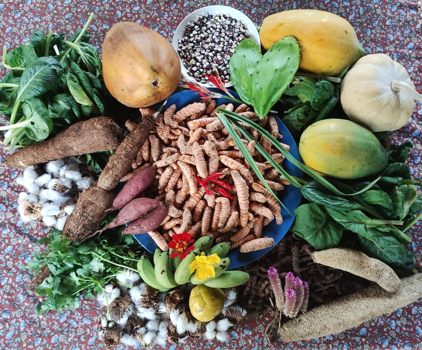 Assorted vegetables and herbs, including sweet potatoes, papayas, bok choy, black beans, cotton, turmeric roots, bananas, and flowers, arranged on a cloth.