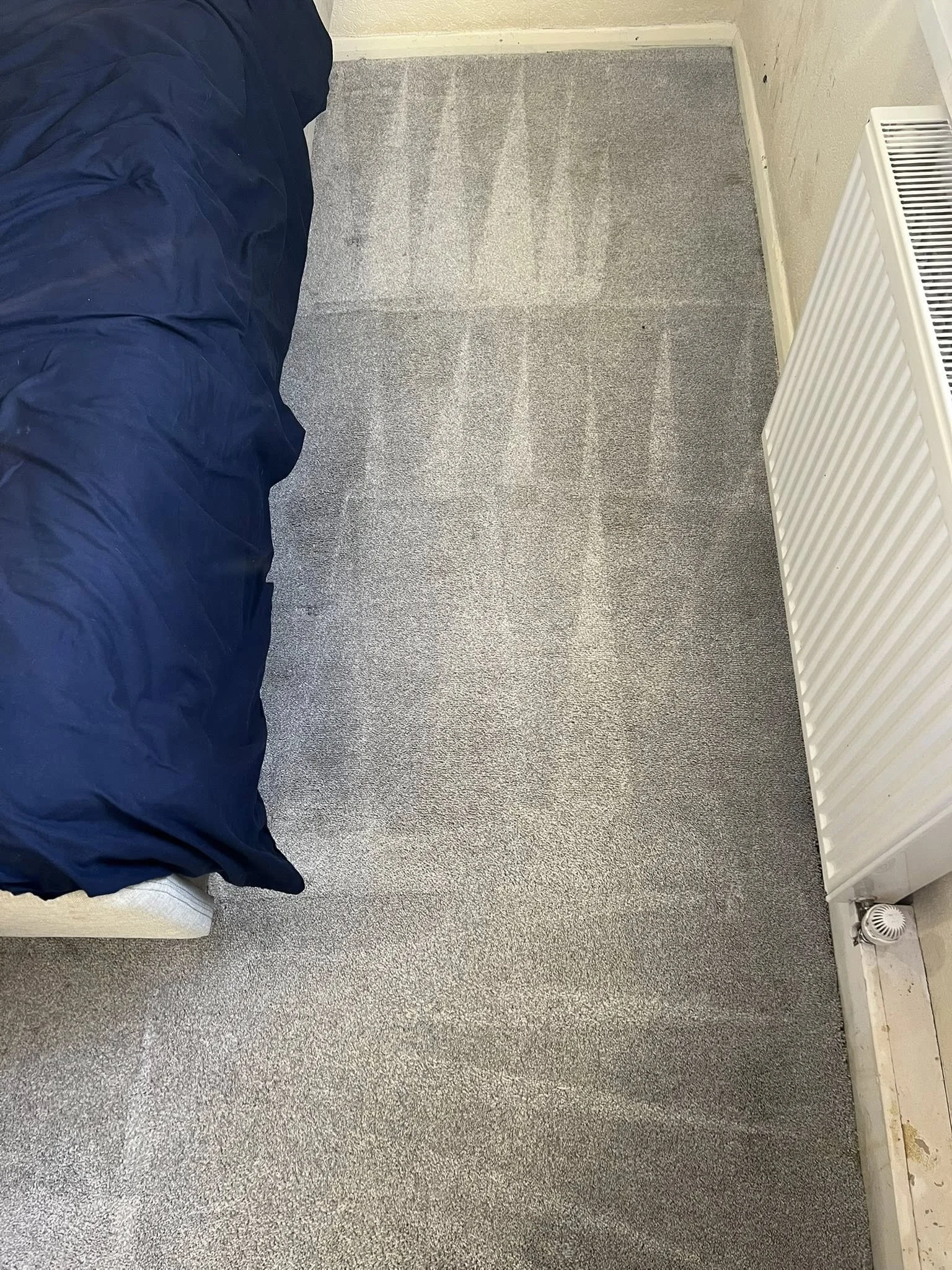 After Bio Hazard Clean