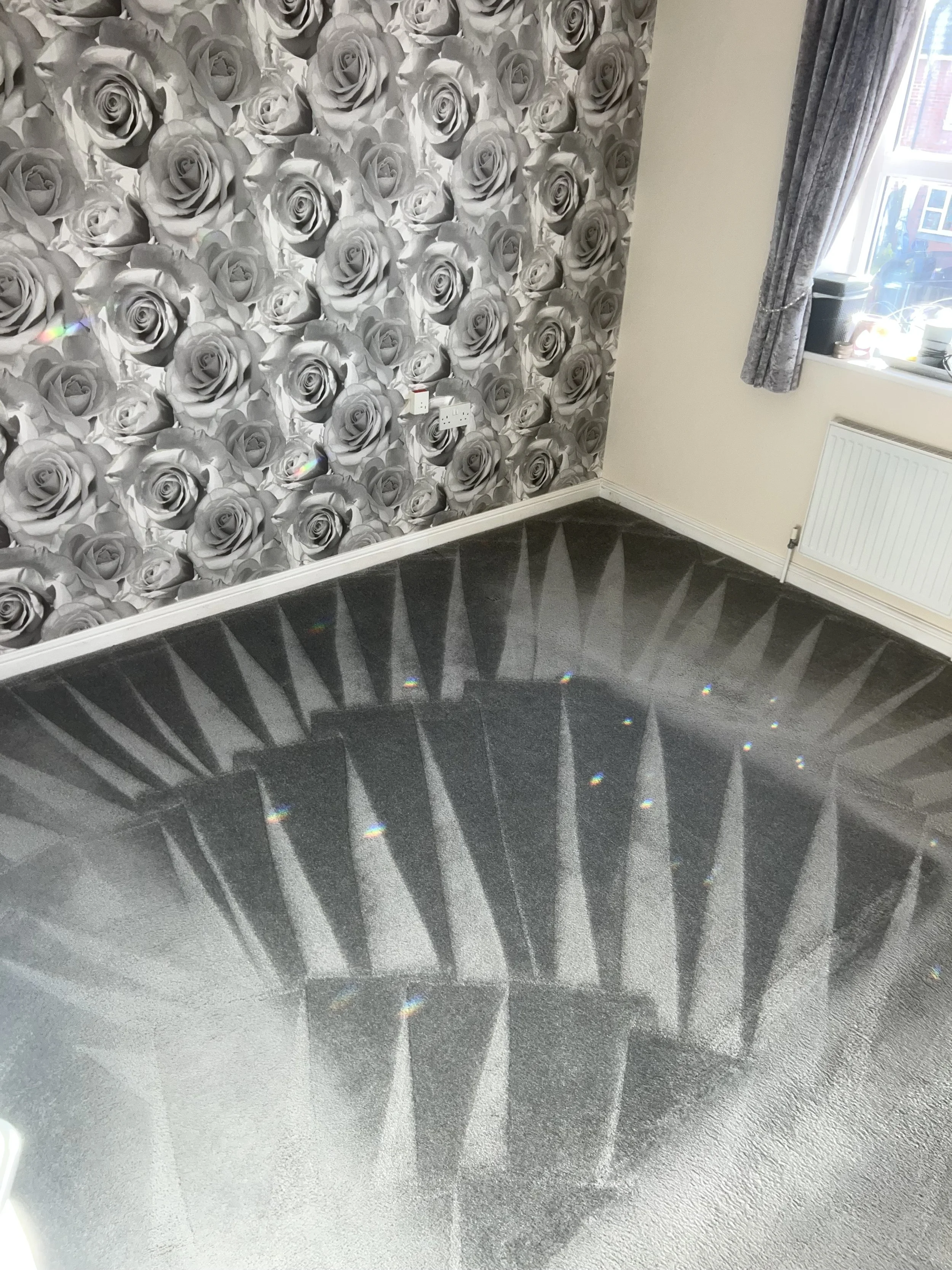 Freshly cleaned carpets