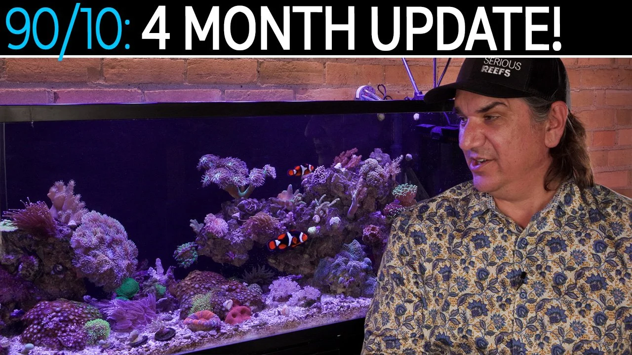 What's New With The Softy Tank? What Are Your Expectations Four Months In? | 90/10 Method