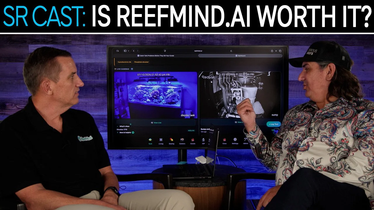 ReefMind.AI: Easier, Cheaper, and Better Than General AI Models? | SR CAST