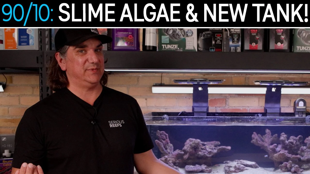 Did We Beat the Algae and Slimes? What the SR GTR 150?