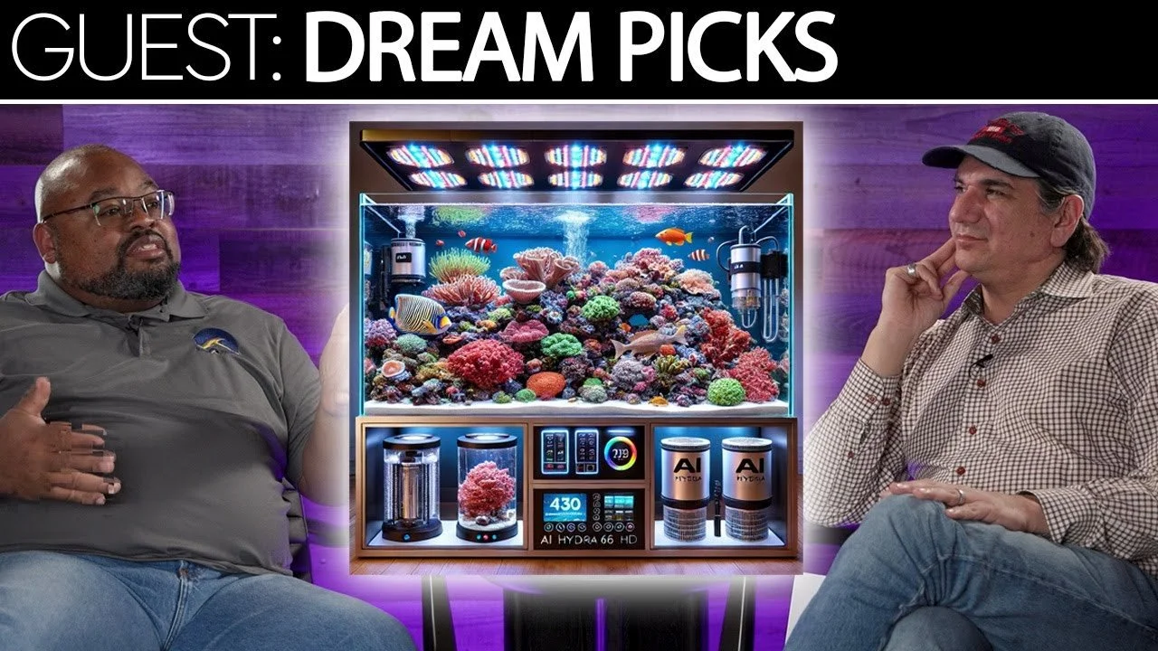 Greg Carroll's Dream Picks: No Holding Back This Time | SR Cast Podcasts