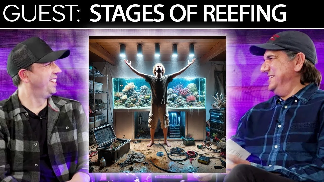 What Stage of Reefing Are You In? Remy Helps You Skip A Few | SR Cast Podcasts