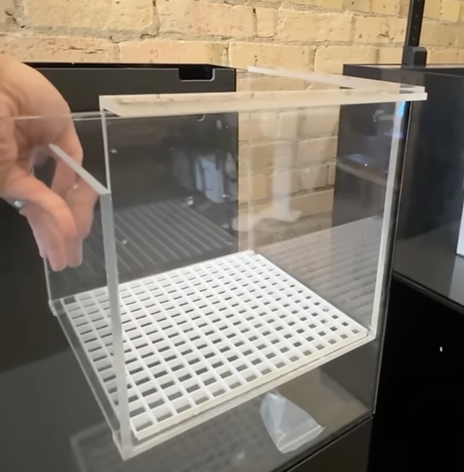 acclimation box in tank.png