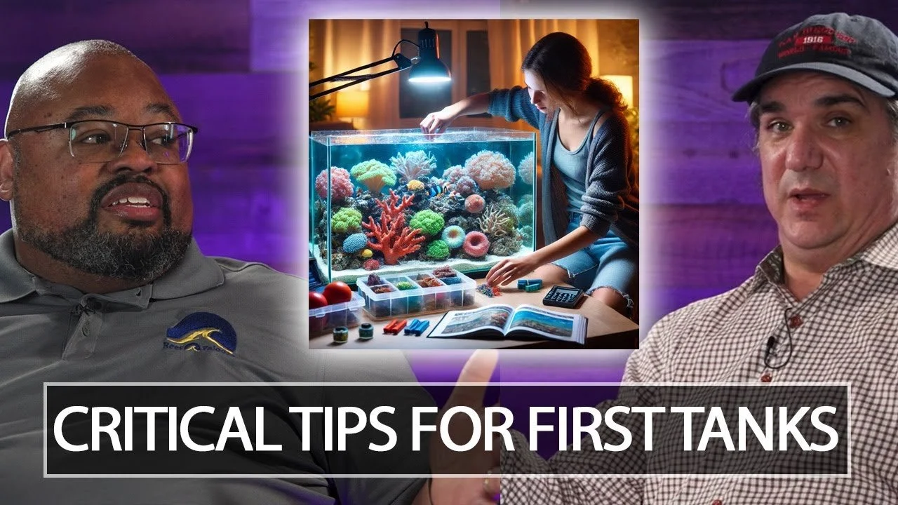 Greg Carroll’s 16 Reefing Tips for First Time &amp; Advanced Reefers.