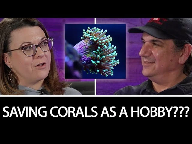 Nicole Bridges Is Saving Corals as a Hobby.