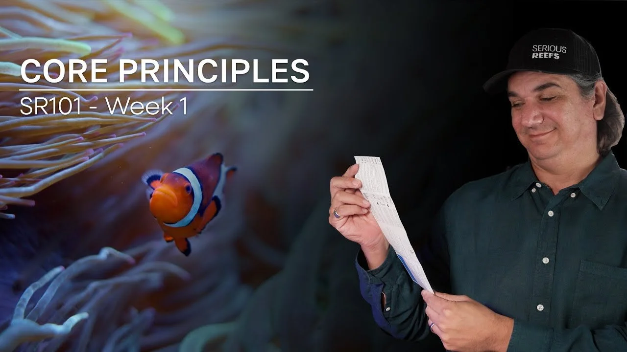 Six Core Principles Every New Reefer Should Know - 90/10 Method
