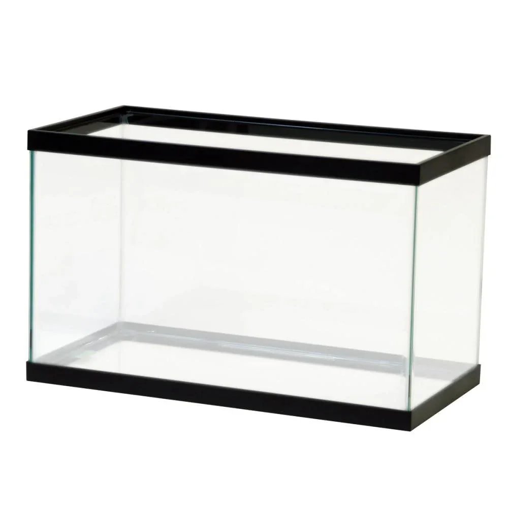 10 gallon tank.jpg.webp