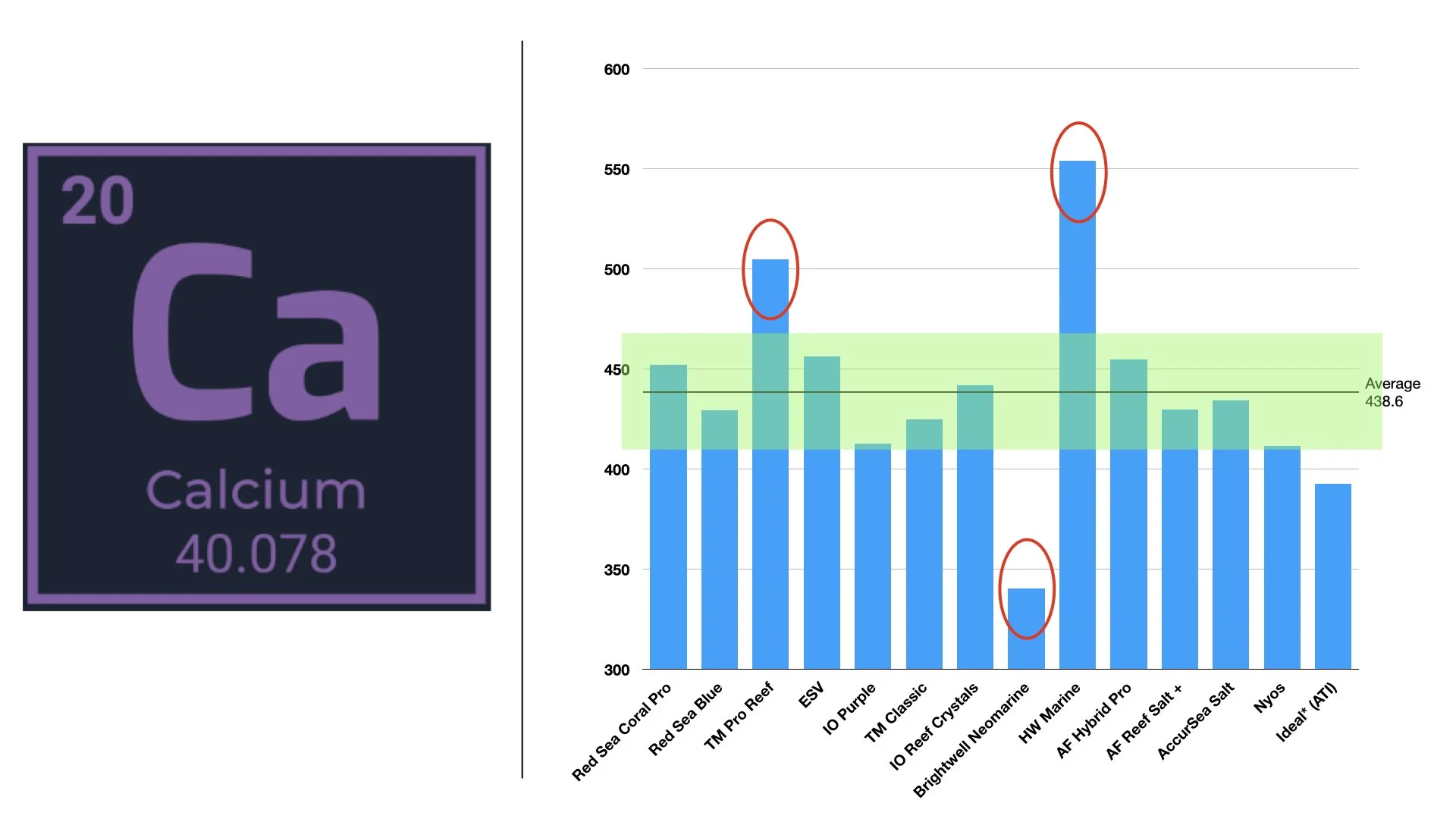RT VS RAndy .003.jpeg