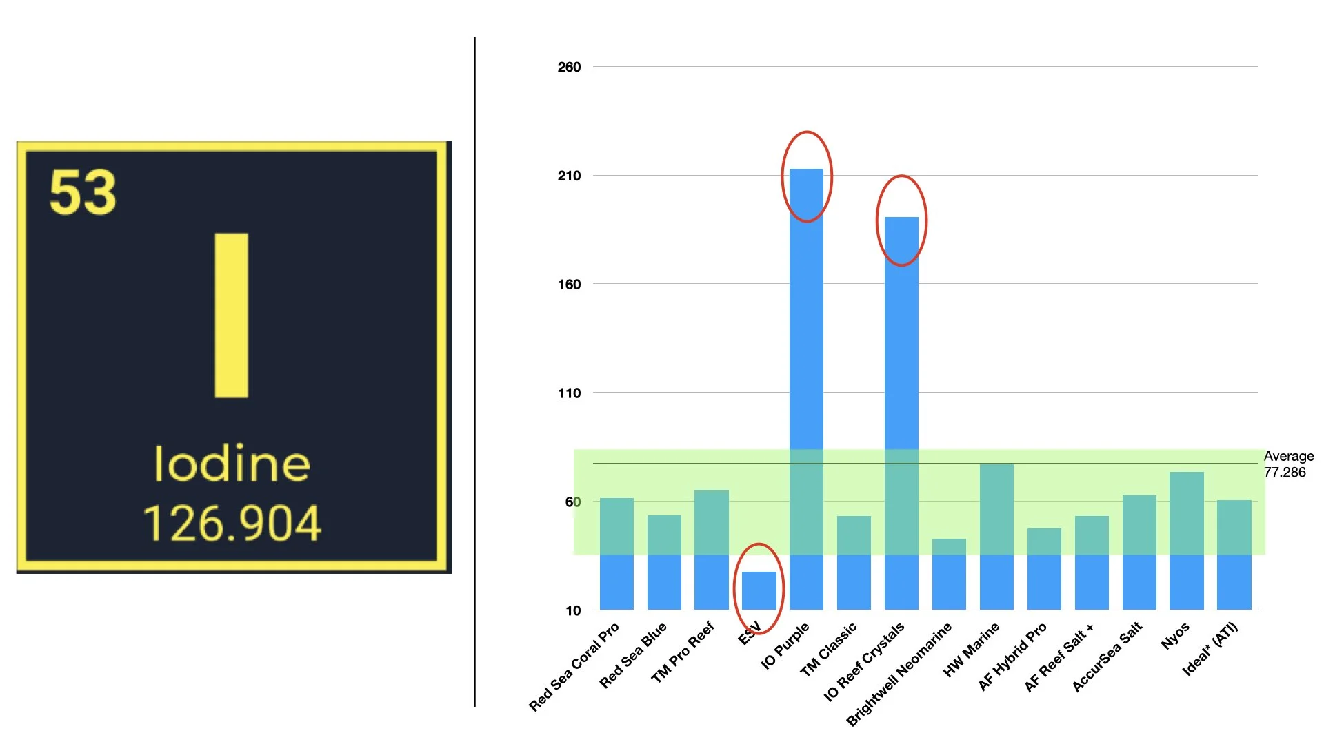 RT VS RAndy .016.jpeg