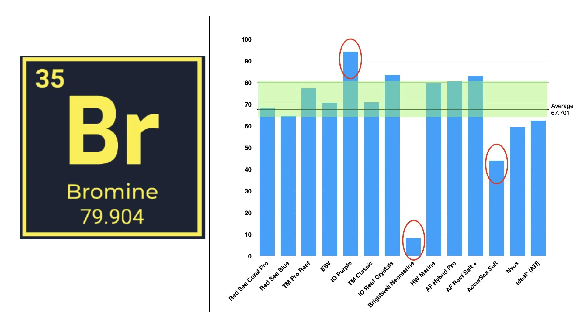 RT VS RAndy .007.jpeg