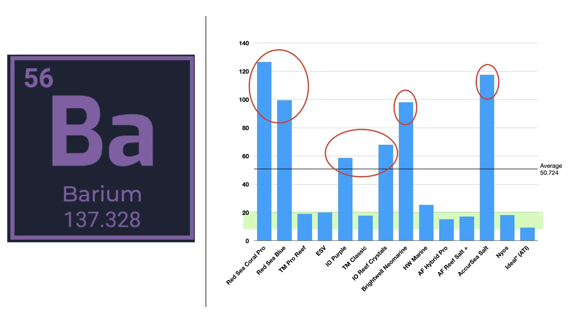 RT VS RAndy .019.jpeg