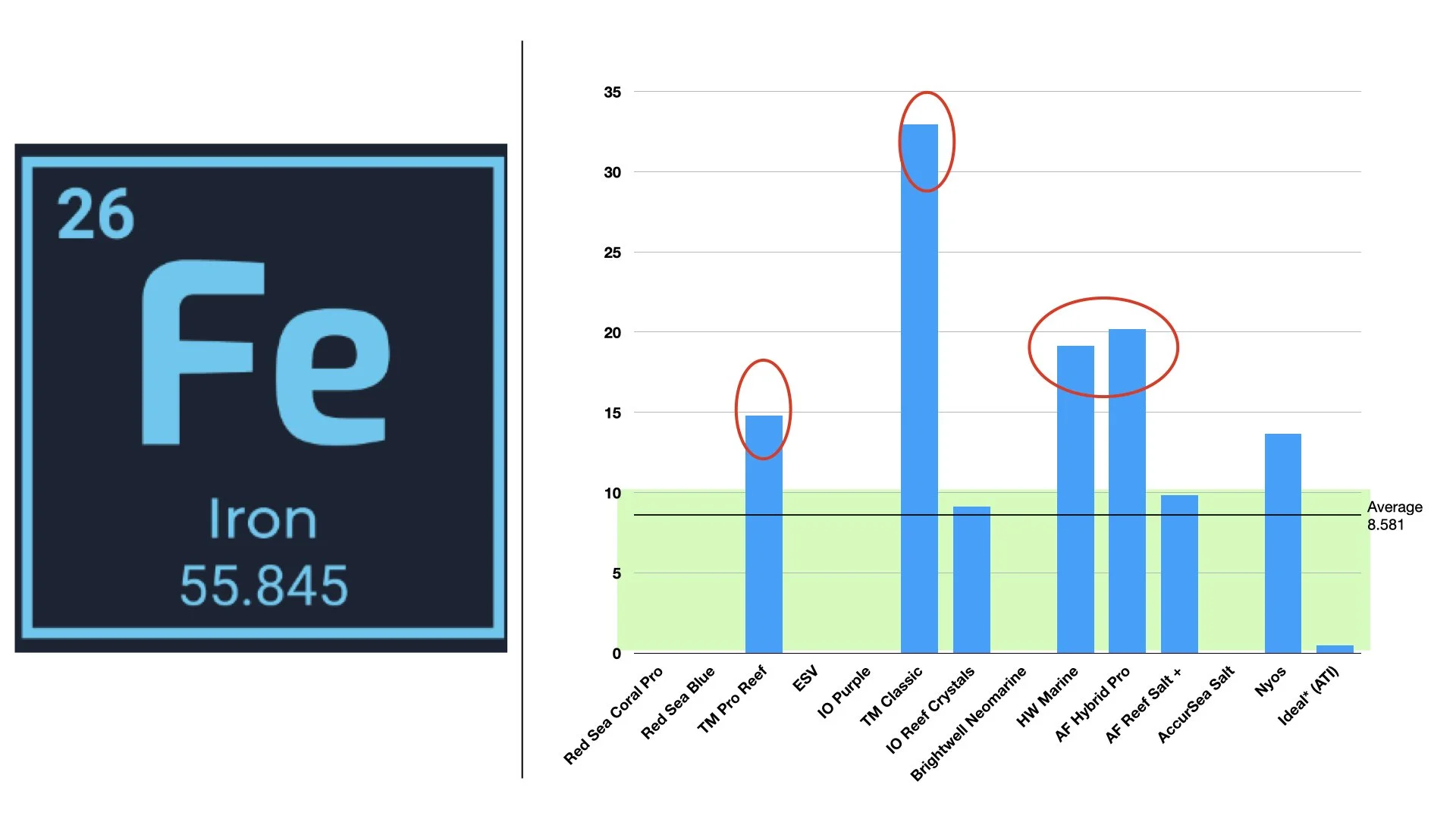 RT VS RAndy .026.jpeg