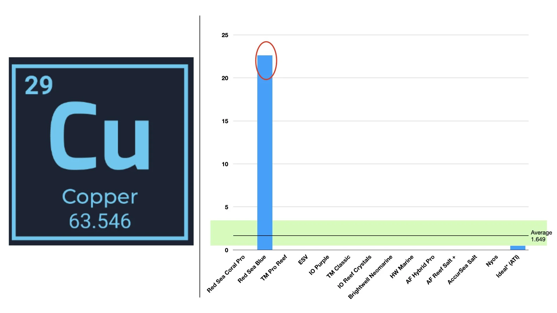 RT VS RAndy .030.jpeg