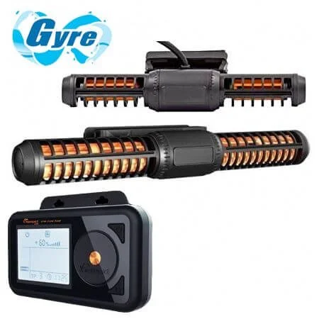 Maxspect Jump Gyre GF308