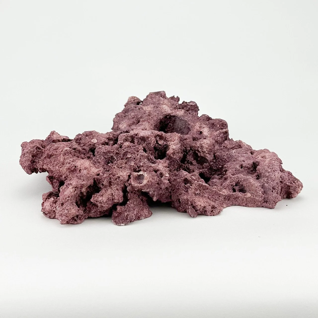 marco foundation.jpg