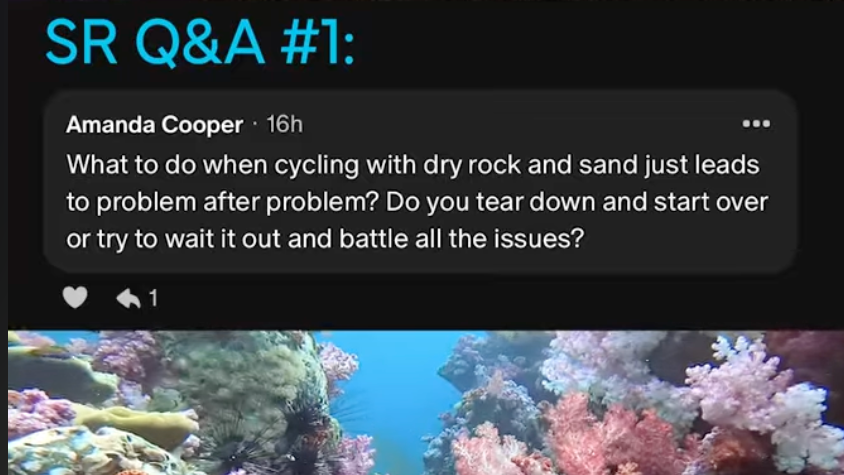 How do I get rid of dinos / dinoflagellates, cyano, diatoms in a reef tank | SR FAQ #1