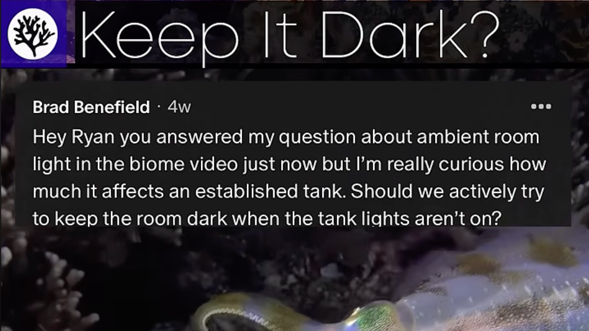 Does Moon Or Ambient Light Affect Corals and Reef Tanks? | SR FAQ #4