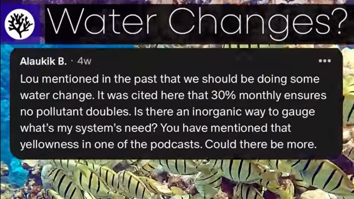 Reef tank water change: How do I know when my tank needs one? | SR FAQ #5