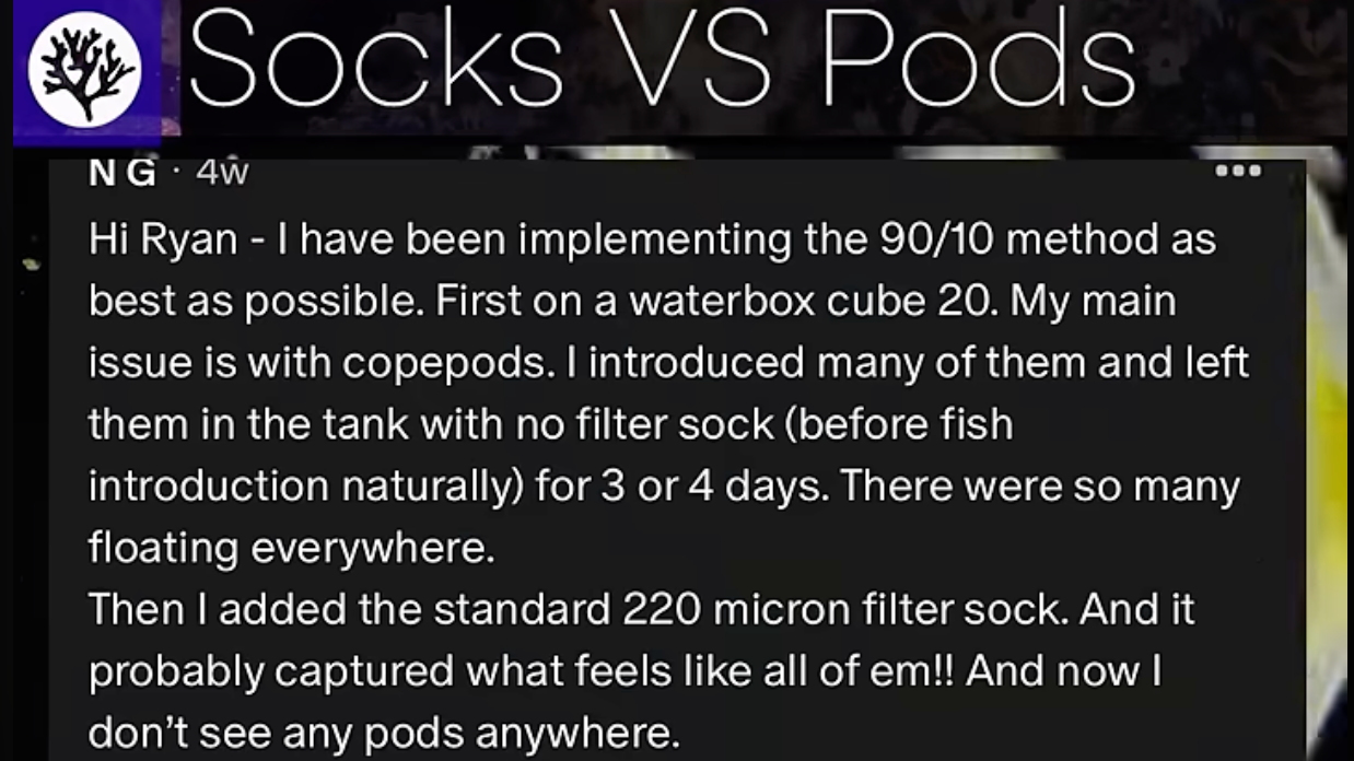 Do filter socks kill my pods? Can we save them? | SR FAQ #6