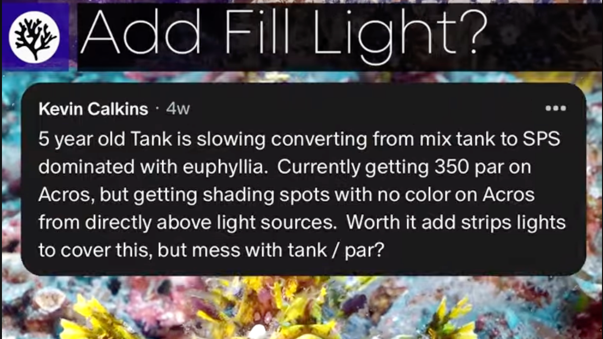 When Should I Add Fill Light To an SPS Dominant Mixed Reef? | SR FAQ #7