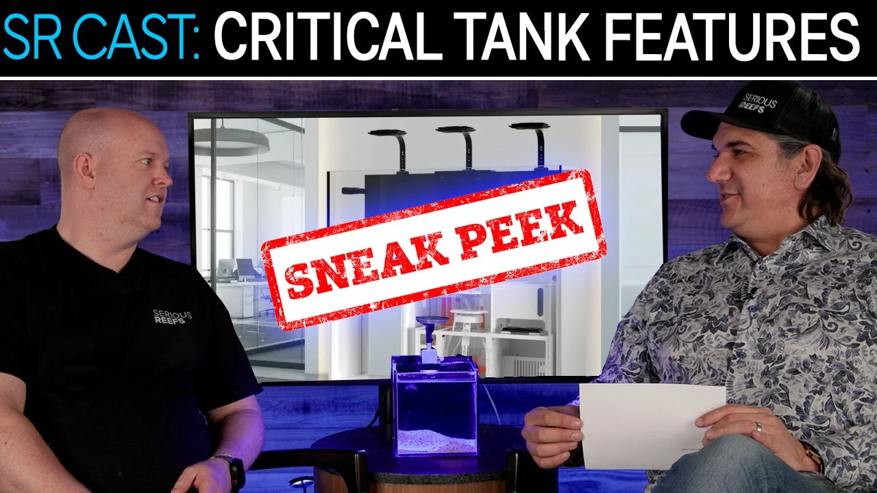 Avoiding Regret: Choosing the Right Reef Tank (What Matters Most) | SR Cast