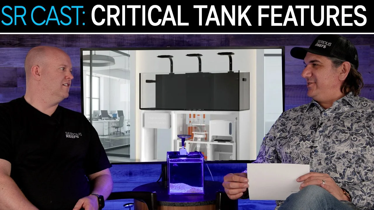 Avoiding Regret: Choosing the Right Reef Tank (What Matters Most) | SR Cast
