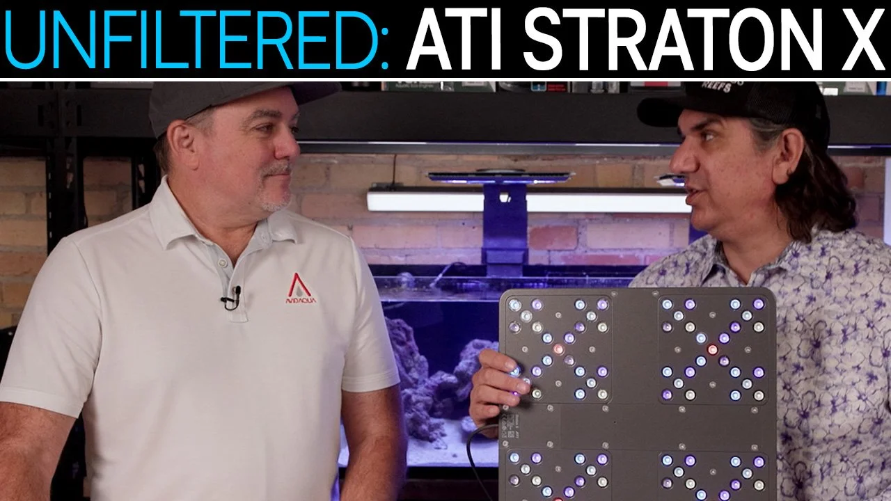 ATI Straton X Review: Does This Ultra-Thin Reef Light Deliver? | SR Unfiltered
