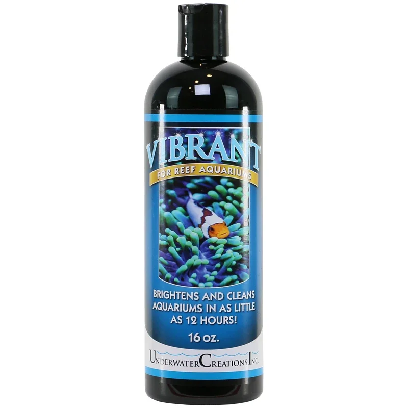 Vibrant Reef