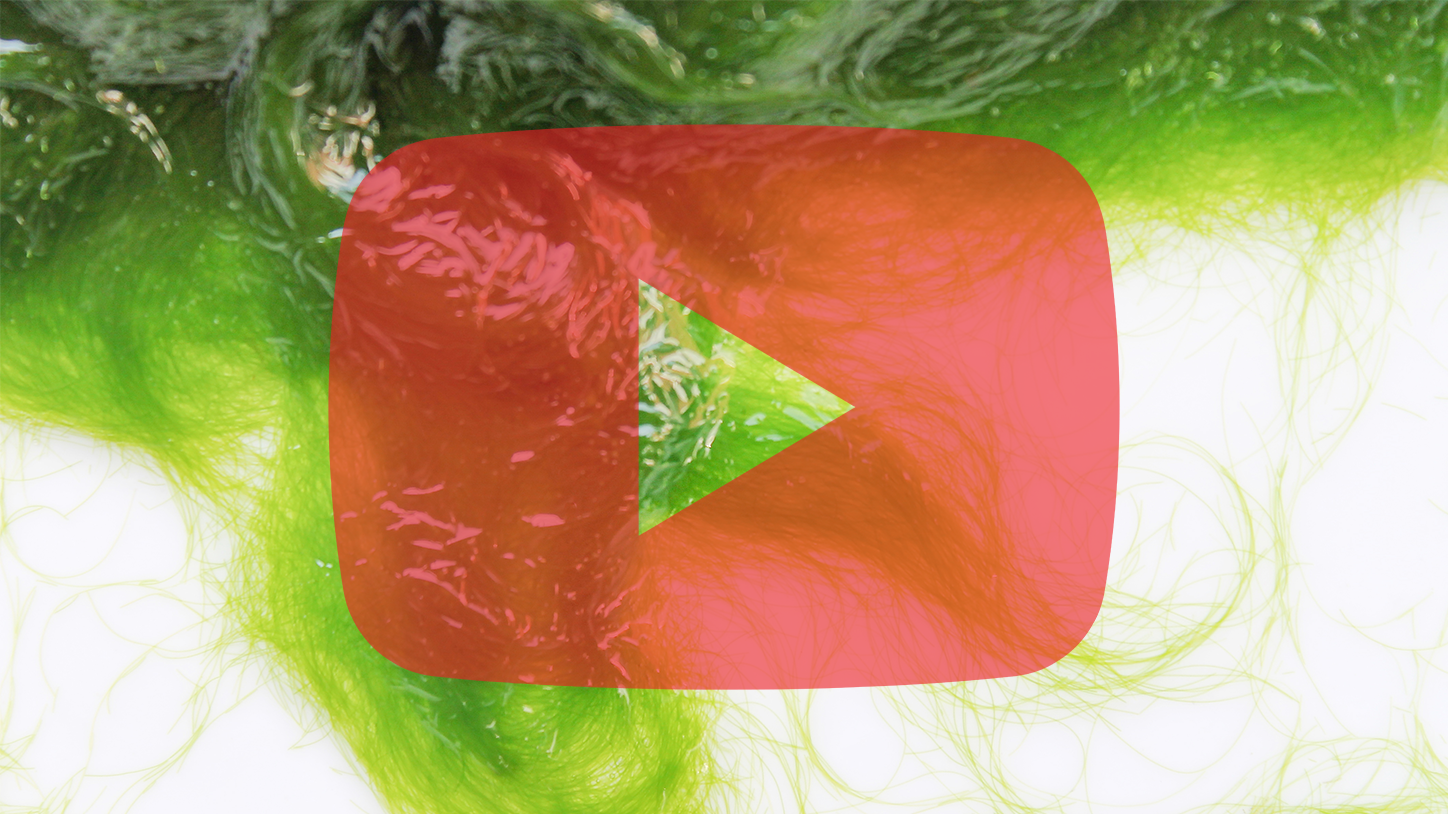 What Causes Hair Algae in a Reef Tank?
