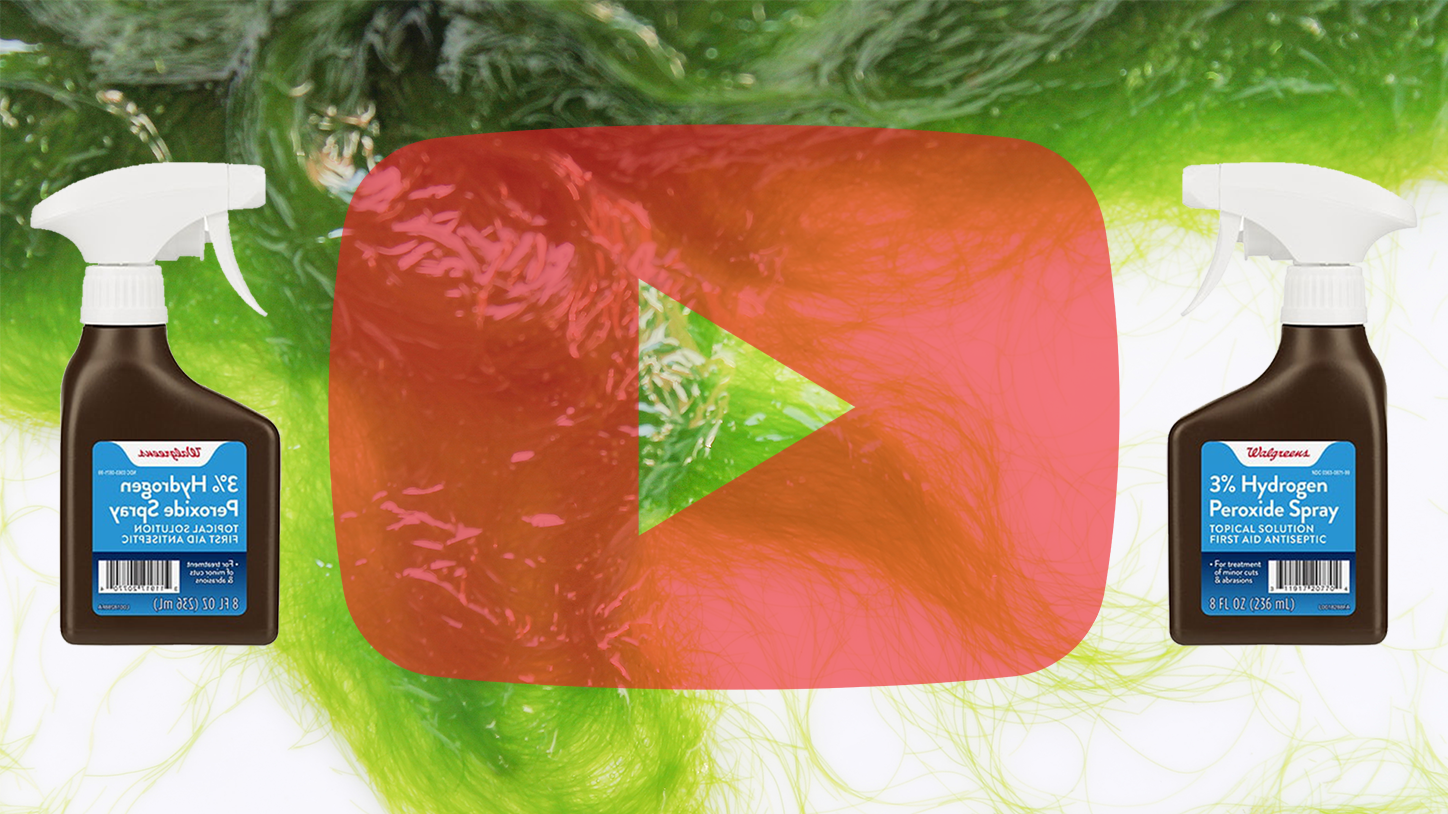 How to Eliminate Hair Algae: Hydrogen Peroxide Edition