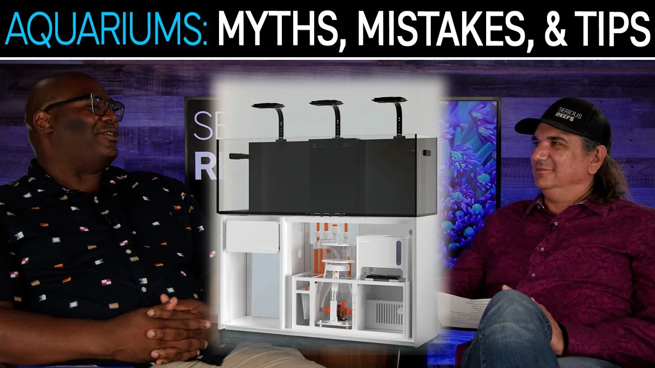 Reef Tank &amp; Habitat Options: 19 Myths, Mistakes, &amp; Tips | SR CAST