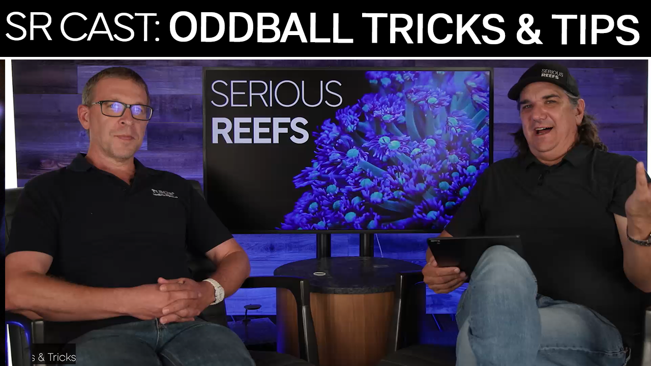 Oddball Reef Tank Tips &amp; Tricks: Are They All Ready for Prime Time? | SR Cast Roger Vitko