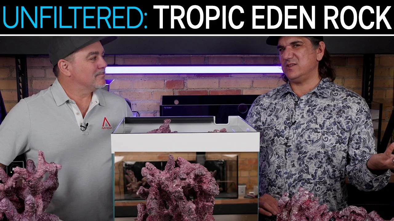 Tropic Eden Morroca Live Rock | SR Unfiltered Review