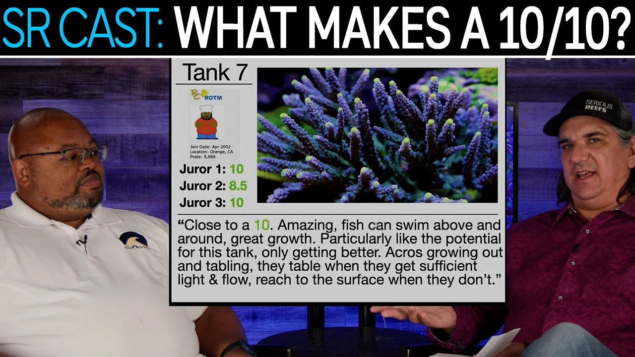 What Makes A 10/10 Reef Tank? Visually Powerful, Respects The Animals | Greg Carroll SR CAST