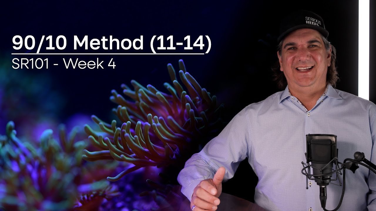 The Last 4: Chemistry, Evaporation, Testing, & Utilitarians | 90/10 Method Pt. 4 (Copy)