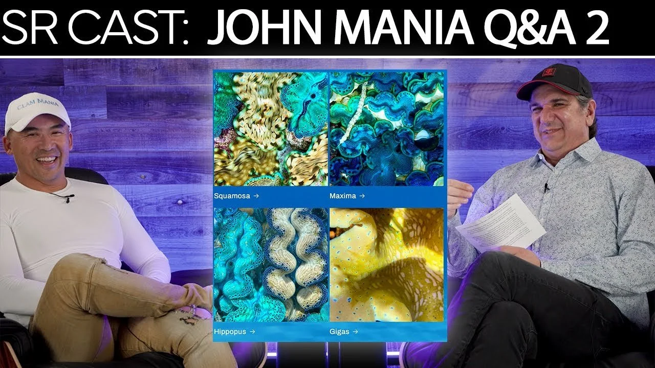 Clam Q&A 2. John From Clam Mania Answers All Your Questions | SR Cast
