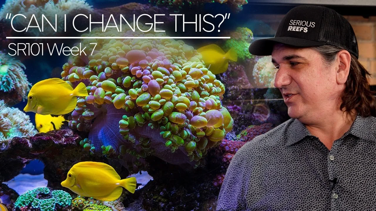 The 90/10 Hybrid LPS Tank Equipment Selection | 90/10 Method Pt. 7 (Copy)