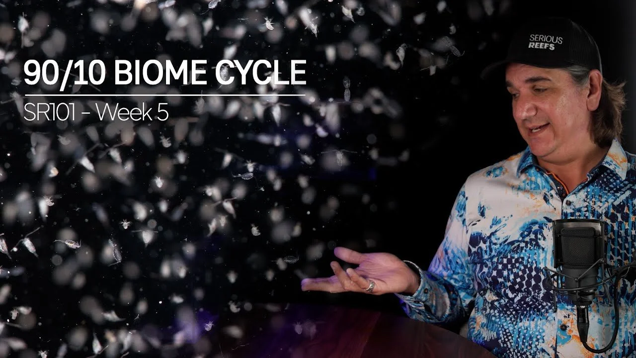 Biome Cycling A Reef Tank 90/10 Method Pt. 5 (Copy)