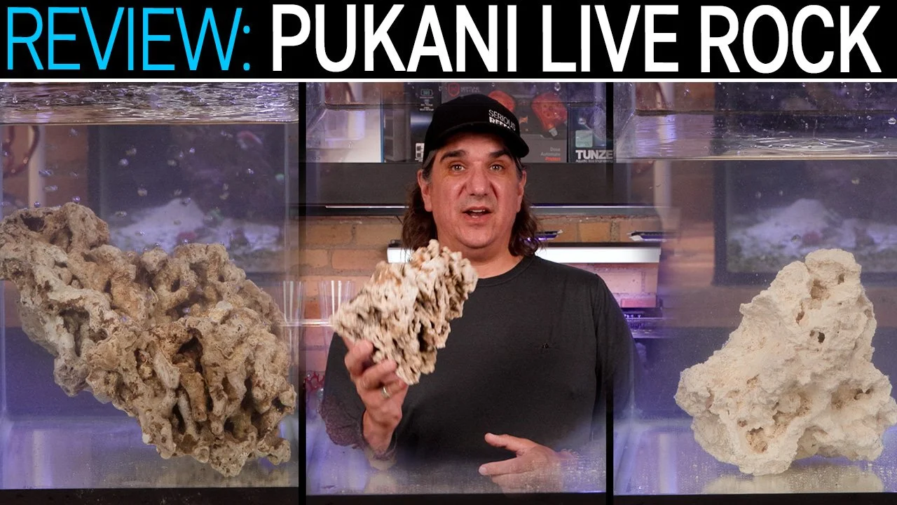 Pukani Returns! Is This Still the Best Rock for a Reef Tank? | SR Unfiltered Reviews