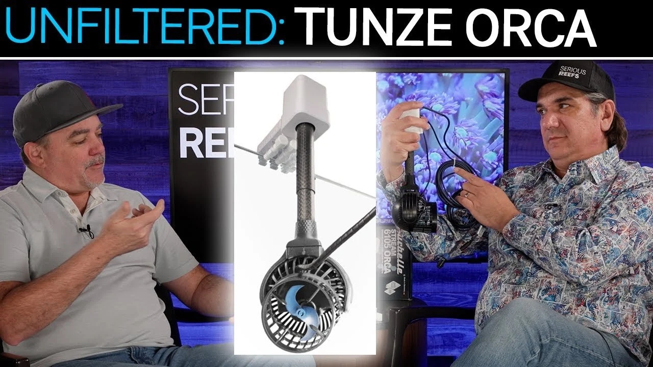 Tunze Orca? Would We Use It? | Unfiltered First Look