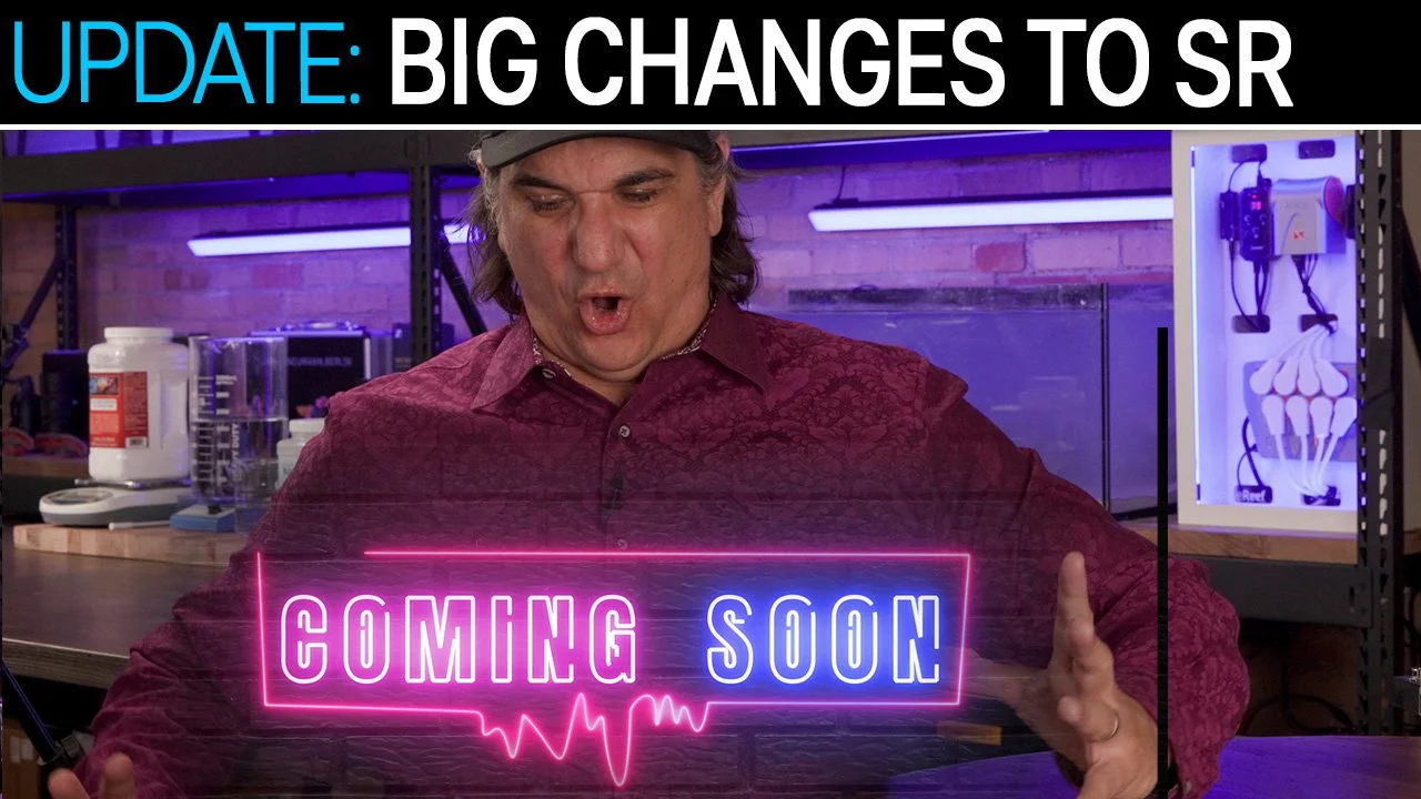 Time To Make Some Serious Updates &amp; Add New Perks | SR Spring Update