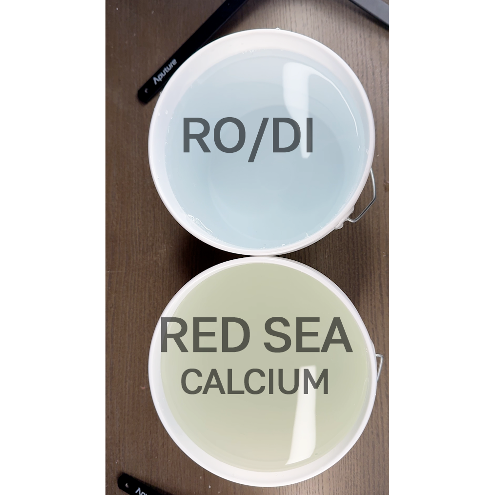 red sea calcium.png