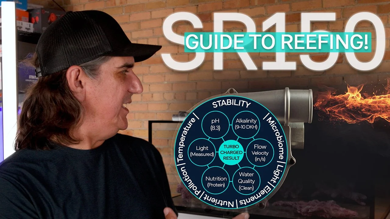 Turbocharge Your Reef: Start With Biology, Not Gear | #SR150 Ep. 3