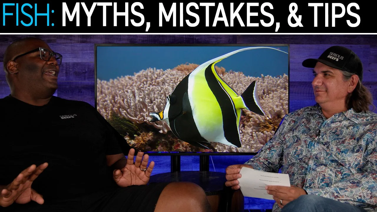 Saltwater Aquarium Fish: Myths, Mistakes, &amp; Tips | SR CAST Oral Seymour