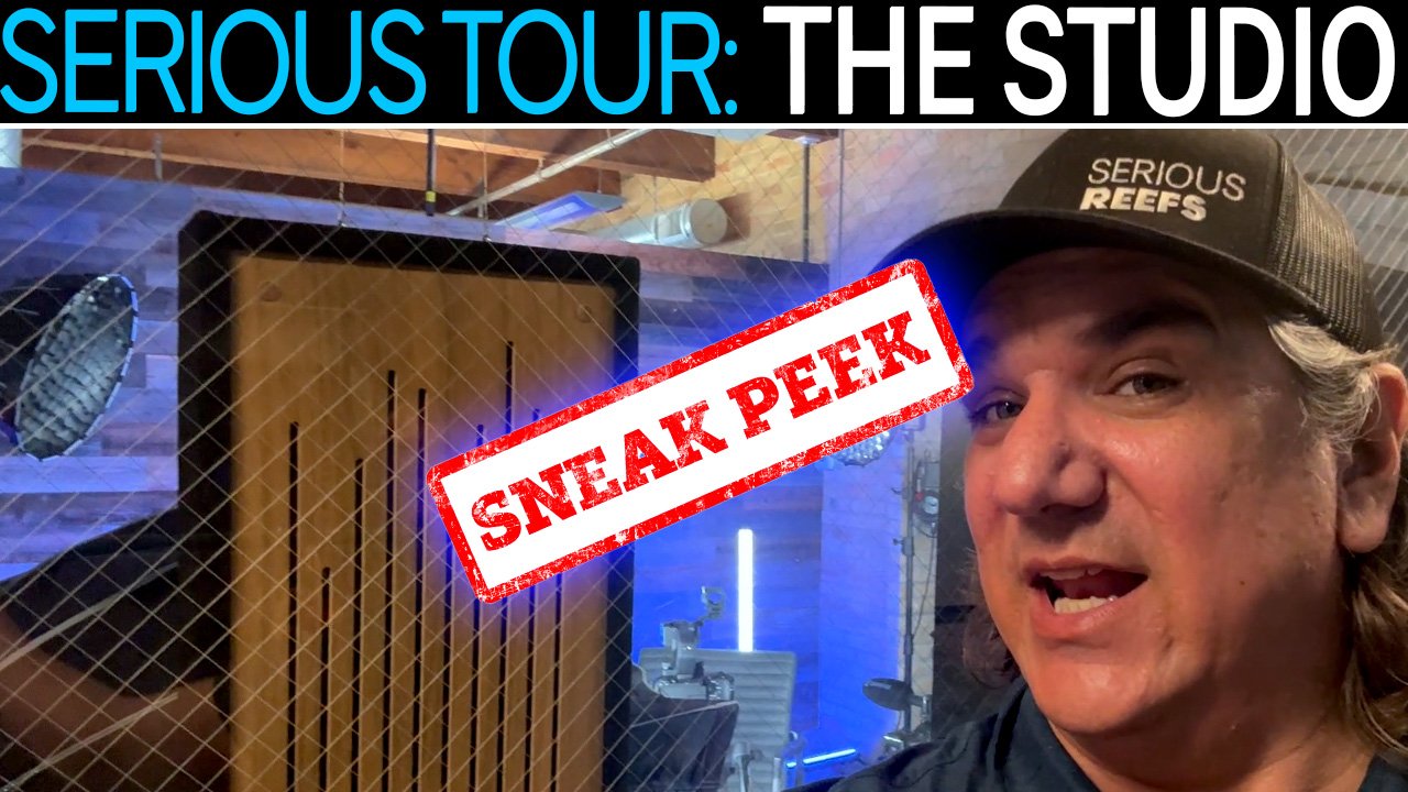 The Serious Reefs Studio Tour: What’s Going On Behind the Camera? TRAILER
